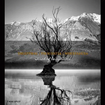 Digothal : Tired of Being Alone